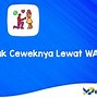 Beruang Menyerang Orang Nembak Ceweknya Lewat Wa